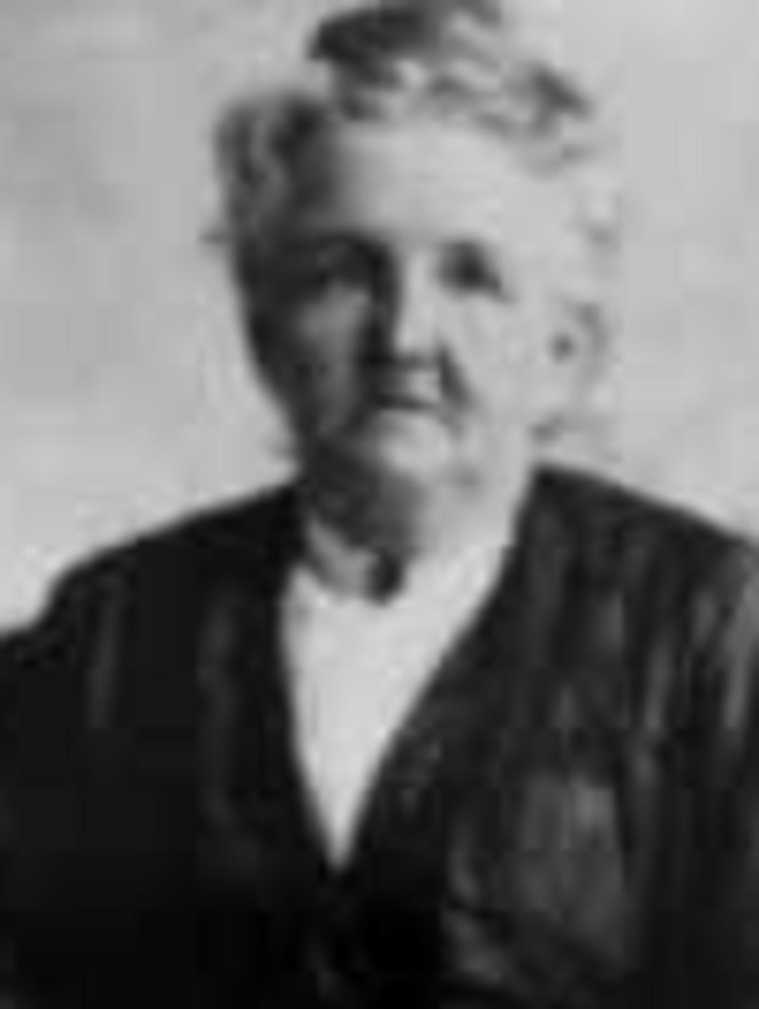 Angeline Wasson Cole (1847 - 1932) Profile